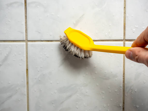 Best Mold Removal Near Me  in Falls Church, VA