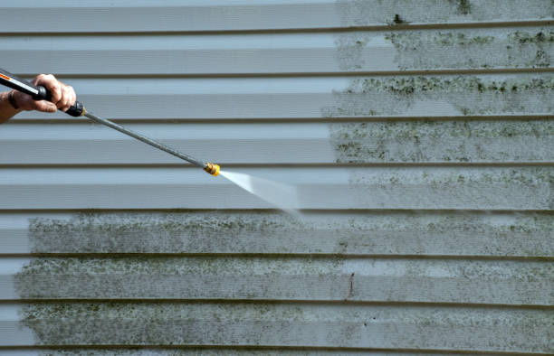 Best Office Mold Removal Services  in Falls Church, VA