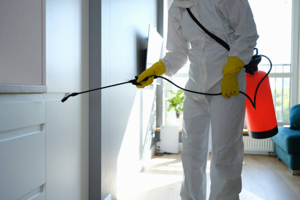 Best Mold Removal Specialists  in Falls Church, VA