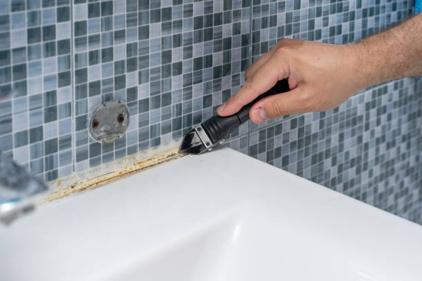 Best Mold Remediation  in Falls Church, VA